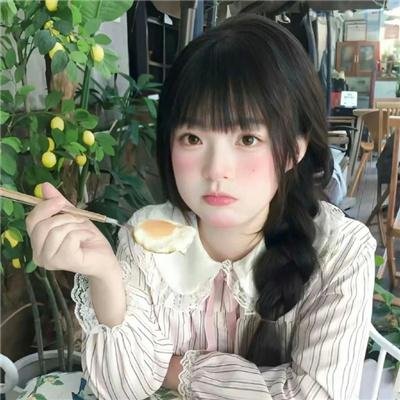 科搜研之女2022